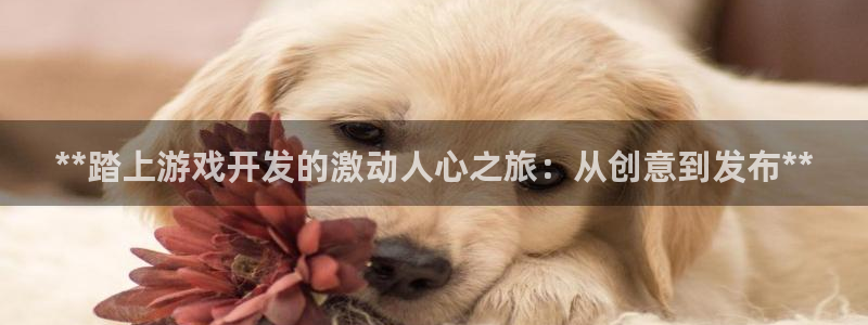 沐鸣娱乐2可靠吗