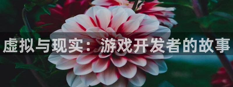 沐鸣娱乐2官网网址：虚拟与现实：游戏开发者的故事