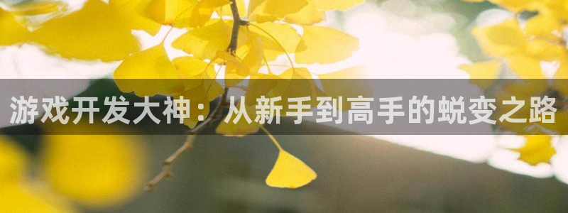 沐鸣娱乐2手机下载：游戏开发大神：从新手到高手的蜕变之路