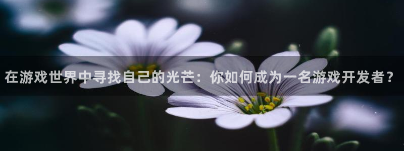 沐鸣2登录测速：在游戏世界中寻找自己的光芒：你如何成为一名游戏开发者？