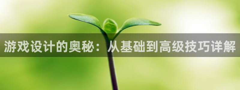 沐鸣娱乐2注册平台：游戏设计的奥秘：从基础到高级技巧详解