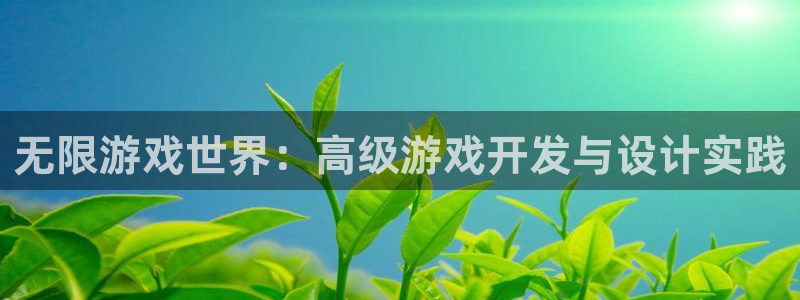 沐鸣2平台在线注册：无限游戏世界：高级游戏开发与设计实践