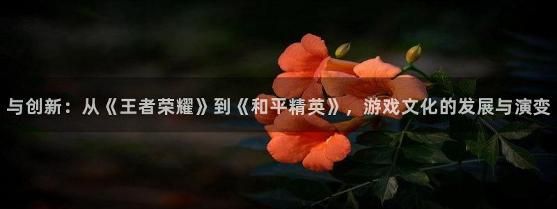 沐鸣2撤35994还和：与创新：从《王者荣耀》到《和平精英》，游戏文化的发展与演变