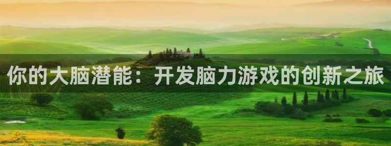 沐鸣2注册连接：你的大脑潜能：开发脑力游戏的创新之旅