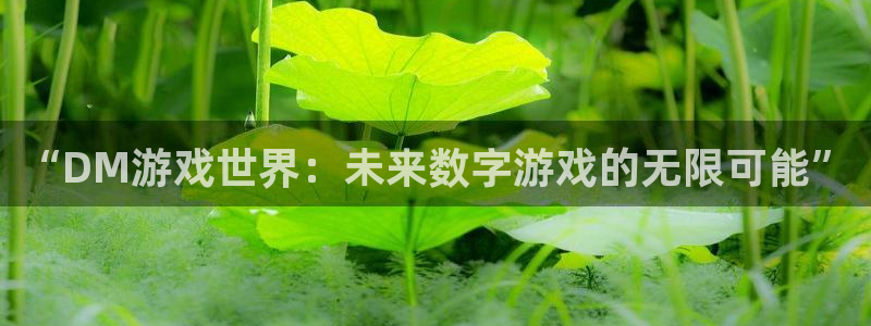 沐鸣2注册登录：“DM游戏世界：未来数字游戏的无限可能”
