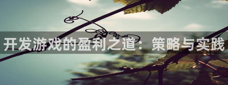 沐鸣2登录官方登录网站：开发游戏的盈利之道：策略与实践