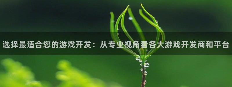 沐鸣2平台注册：选择最适合您的游戏开发：从专业视角看各大游戏开发商和平台