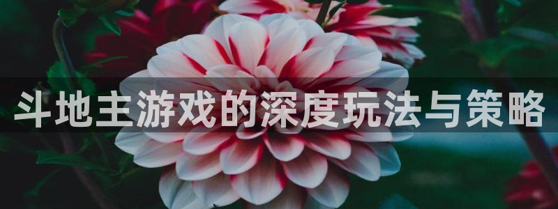 沐鸣娱乐2官方网站：斗地主游戏的深度玩法与策略