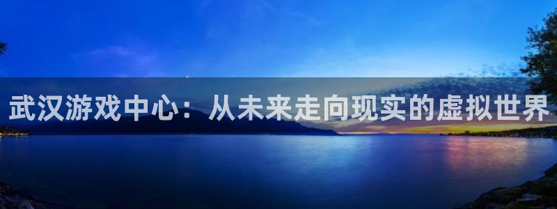 沐鸣娱乐2不能注册：武汉游戏中心：从未来走向现实的虚拟世界