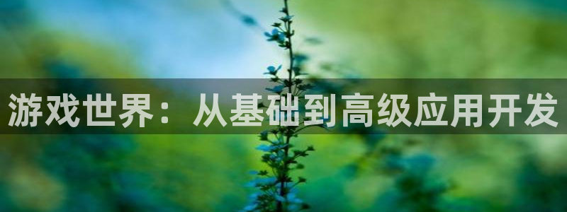 沐鸣2登陆扣27337：游戏世界：从基础到高级应用开发