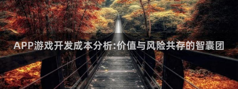 沐鸣2平台官方注册登录：APP游戏开发成本分析:价值与风险共存的智囊团