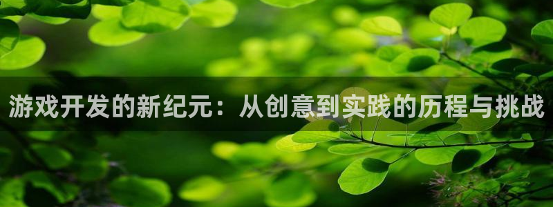 沐鸣2登陆：游戏开发的新纪元：从创意到实践的历程与挑战