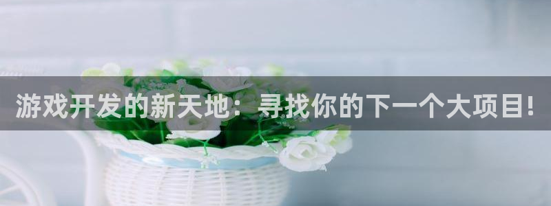 沐鸣2登录网址：游戏开发的新天地：寻找你的下一个大项目!