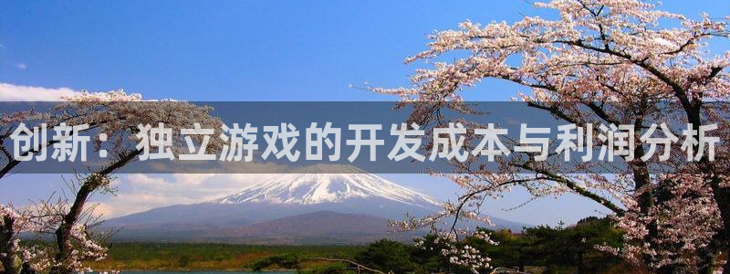 沐鸣2撤35994还和：创新：独立游戏的开发成本与利润分析