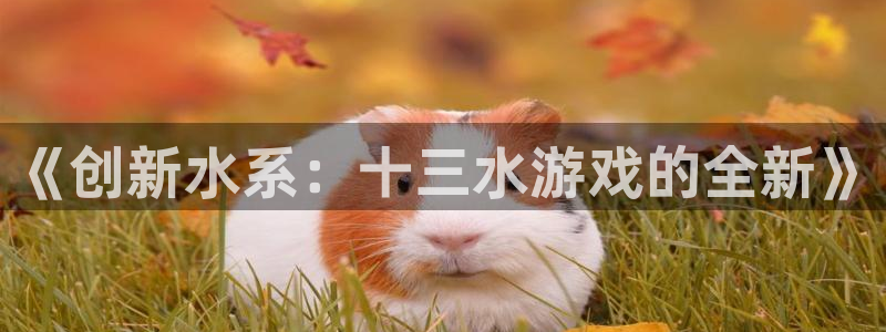 沐鸣2多少年：《创新水系：十三水游戏的全新》
